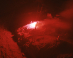 b029
