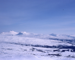 H018