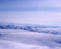 H019