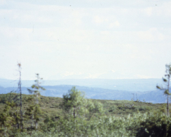 M024