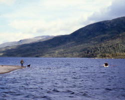 N024