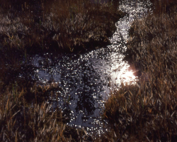 N048
