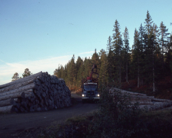 T039