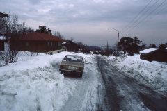 AE021