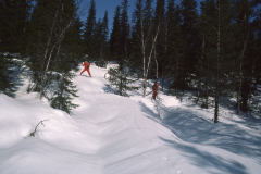 AE026