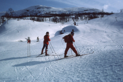 AE028