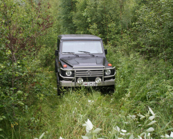 IMG_5895