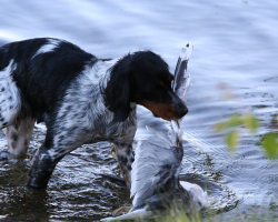IMG_1220