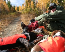 2008 Skogsfugljakt sverige