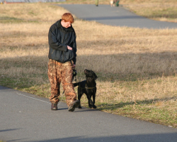 IMG_4113