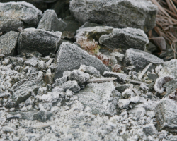 IMG_7665