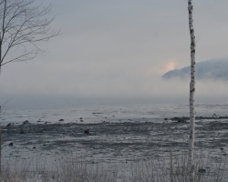 2010-02februar