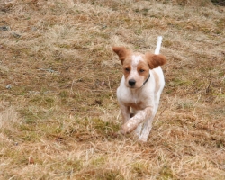 2010-05mai