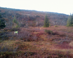 IMAG0161