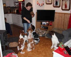 2011-01januar