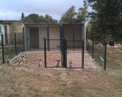 IMAG0146