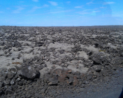 IMAG0101