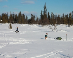 2011 Vinterjakt Sverige