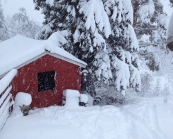 2015-01Januar