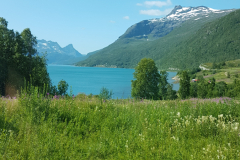 Sjøvegan / Røkenes området