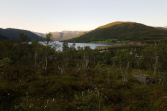 Ved Gullesfjord camping