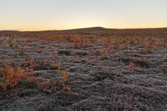 IMG_20210910_051727