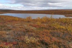 IMG_20220912_140456