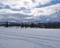 2022 Jaktprøve Hattfjelldal