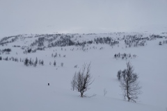 IMG_20220429_103511