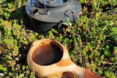 IMG_20220729_143651