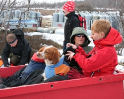 Abisko 2010