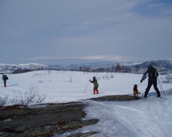 Børgefjell 2004