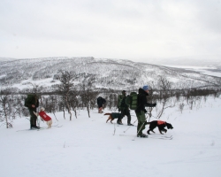 Børgefjell 2010