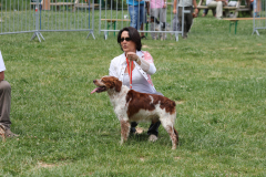 IMG_8499