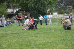 IMG_8579