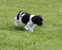 IMG_9746