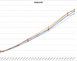 valpevekt E-kullet