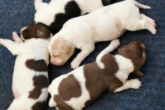 175585809_10223505665177203_8194971264912060878_n