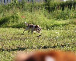 2011_07_16_0273