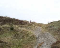 Nello_p_Hellest_stranden