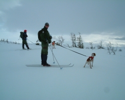 Meråker 2004