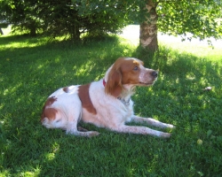 Picture_037