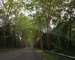 20170615_142743