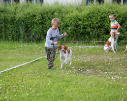 IMG_0025