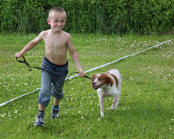 IMG_0027