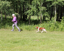 IMG_6967