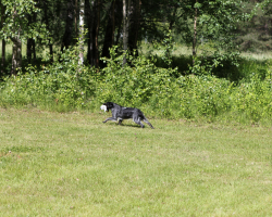 IMG_6975