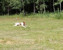 IMG_6985