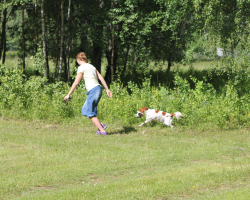IMG_7018