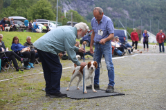 Fjellsmellas Ac Blåmann Asterix